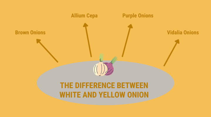 difference between white and yellow onion