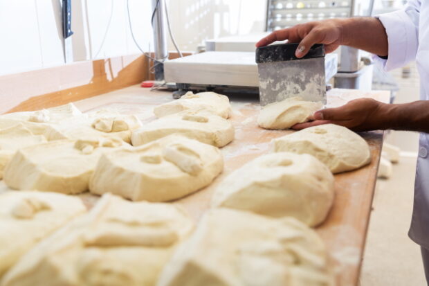 best dough scrapers