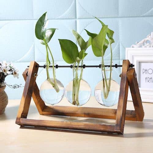 Glass Propagation Vase with Wooden A Frame